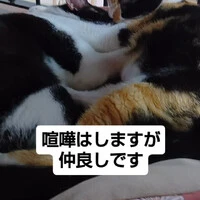 画像1253