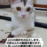 画像1255