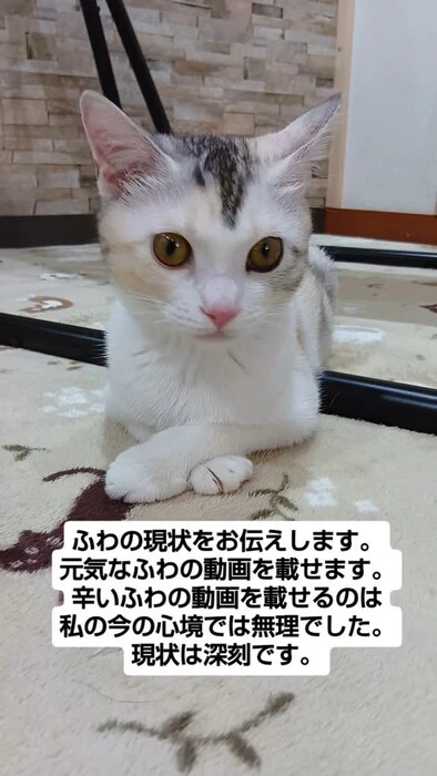 画像1255