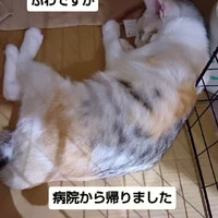 画像1257