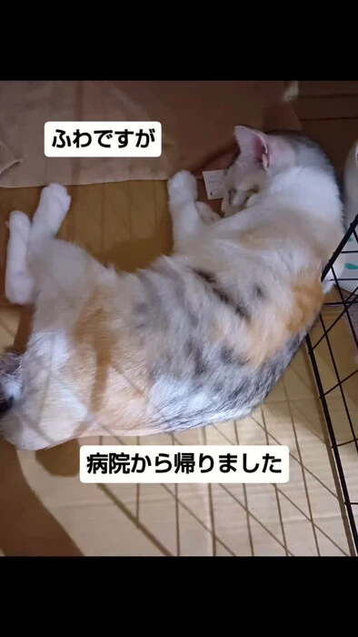 画像1257