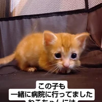画像1259