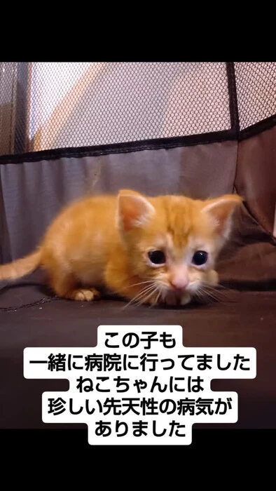 画像1259