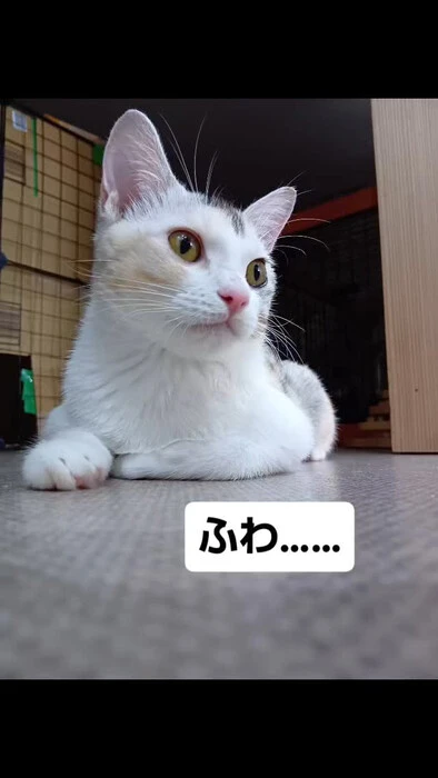 画像1261