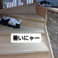 画像1263