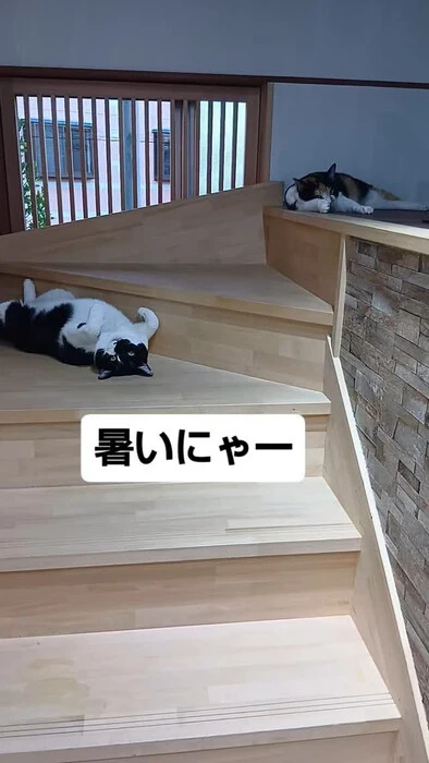 画像1263