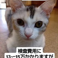 画像1267