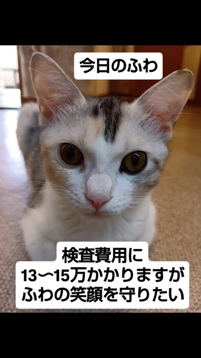 画像1267