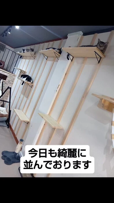 画像1269