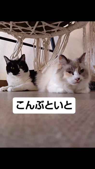 画像1271