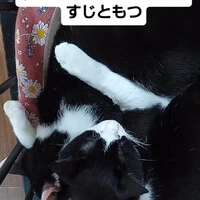 画像1273