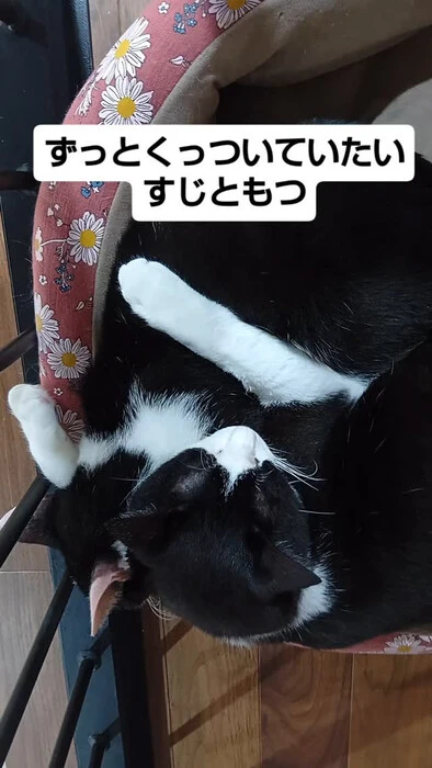 画像1273