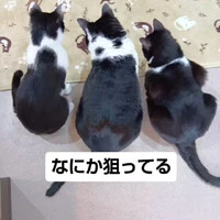 画像1275