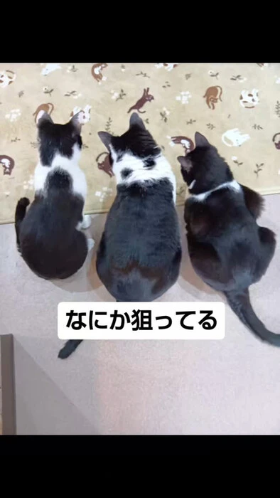 画像1275