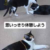 画像1277