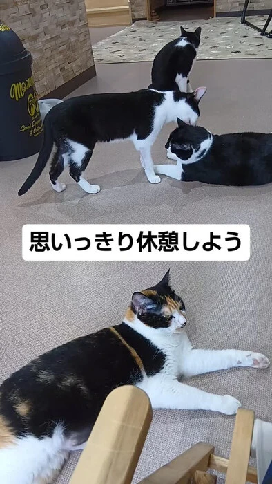 画像1277