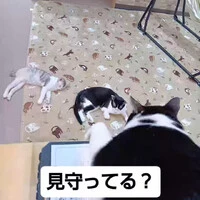 画像1281