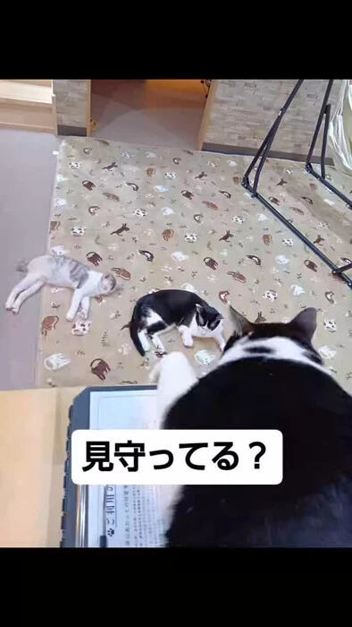 画像1281