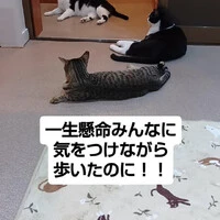 画像1283