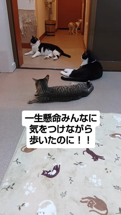 画像1283