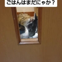 画像1285
