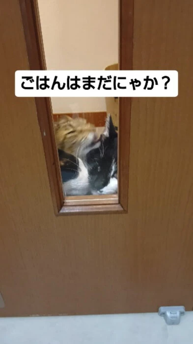 画像1285
