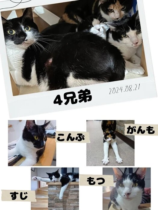 画像1287