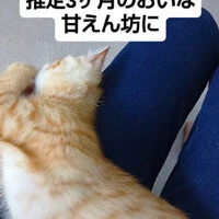 画像1291