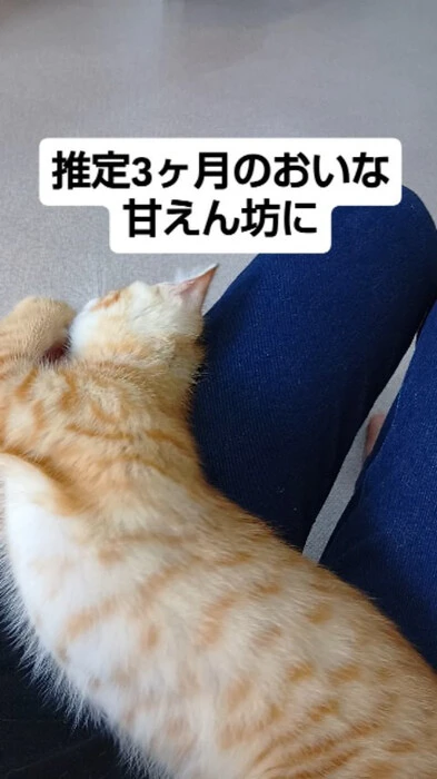 画像1291