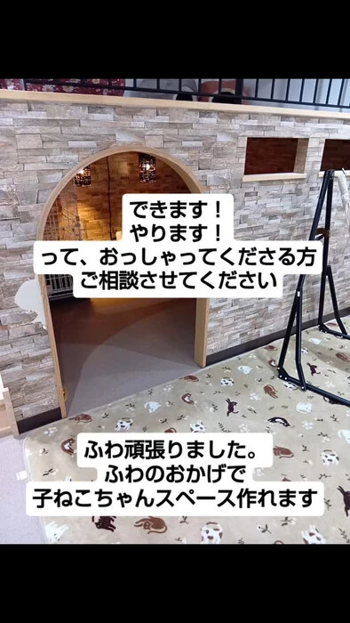 画像1293