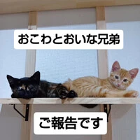 画像1295