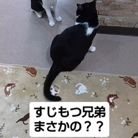 画像1297