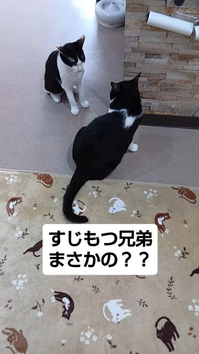 画像1297