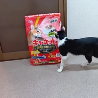 画像1304