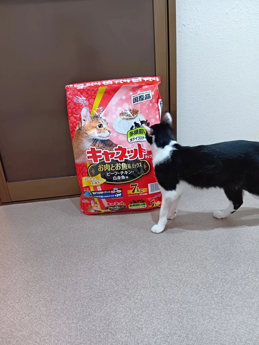 画像1304