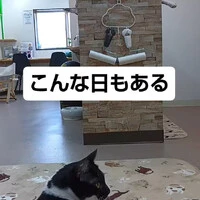 画像1307