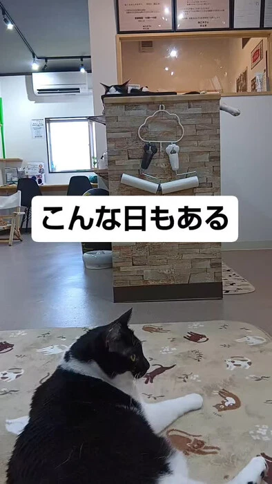 画像1307