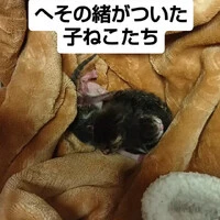 画像1309