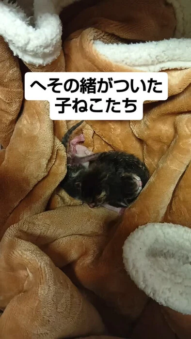 画像1309