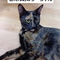 画像1311