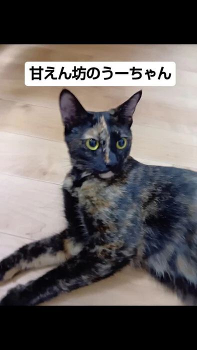 画像1311