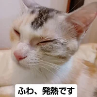 画像1313