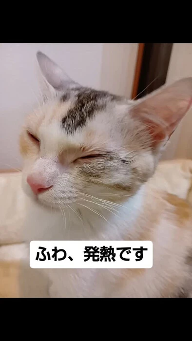 画像1313