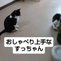 画像1315