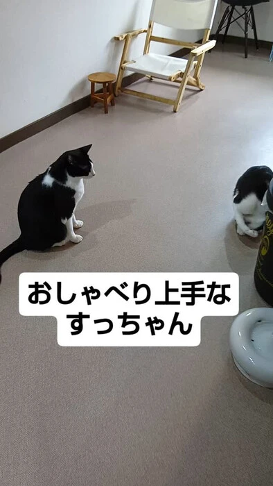 画像1315