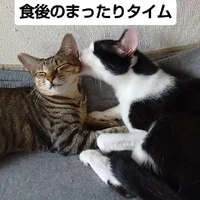 画像1317