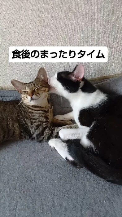 画像1317