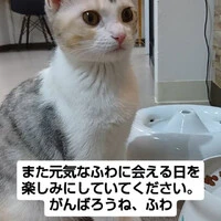 画像1319