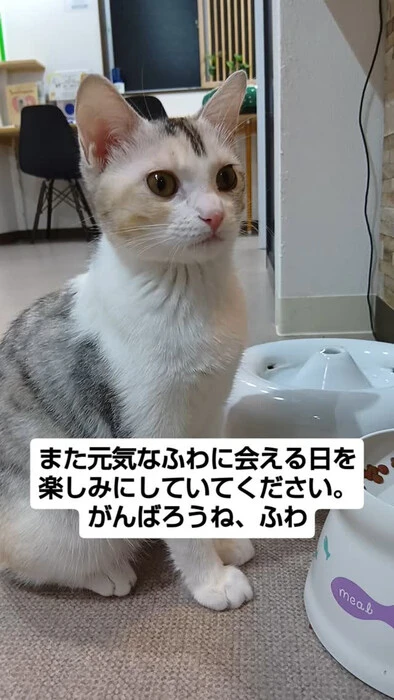 画像1319