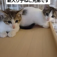 画像1321